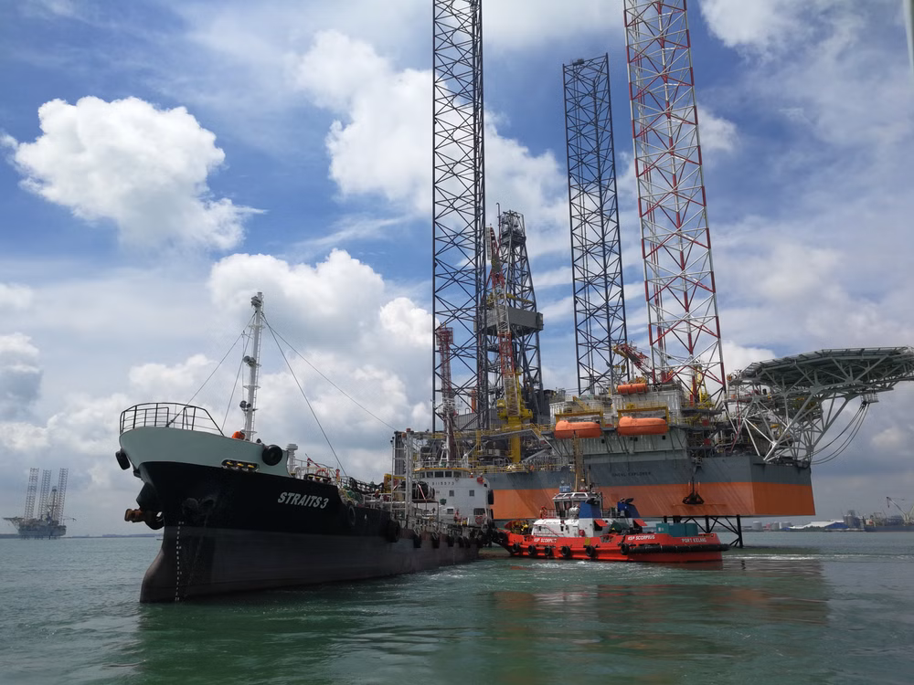 Experienced management team